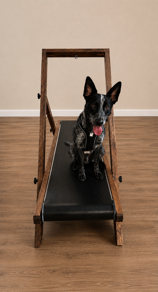 Medium Treadmill