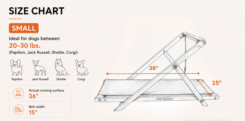 Product dimensions diagram