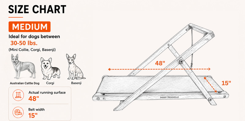 Product dimensions diagram