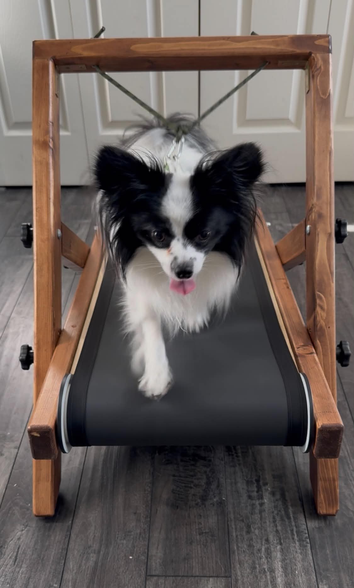 Extra Small Treadmill