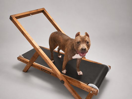 Medium Treadmill