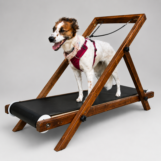 Large Treadmill