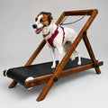 Large Treadmill