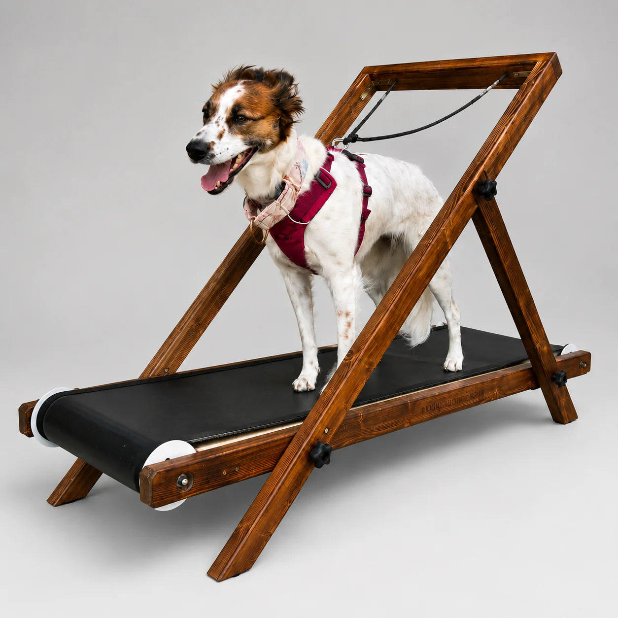 Large Treadmill