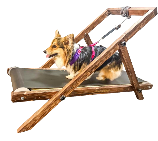 Medium Treadmill