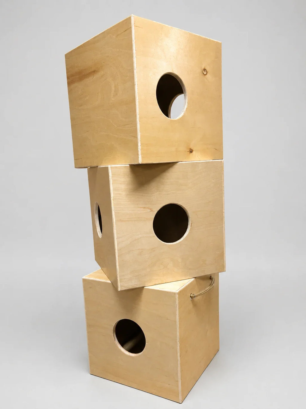 Scent Box
