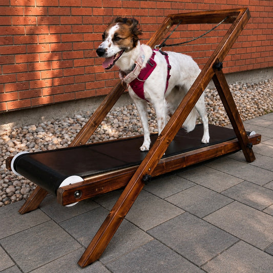 Large Treadmill