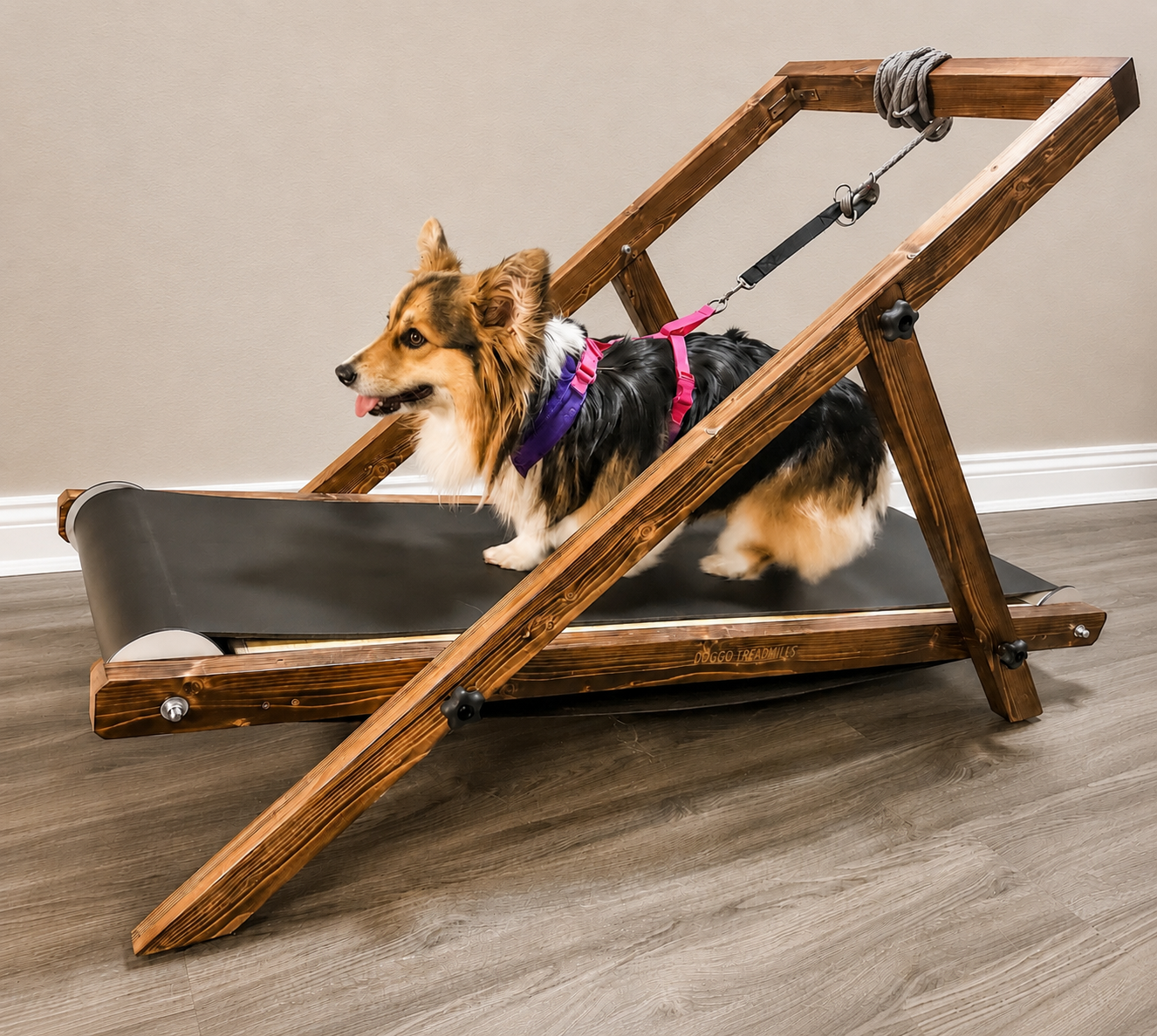Medium Treadmill