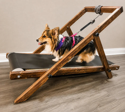 Medium Treadmill