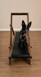 Medium Treadmill