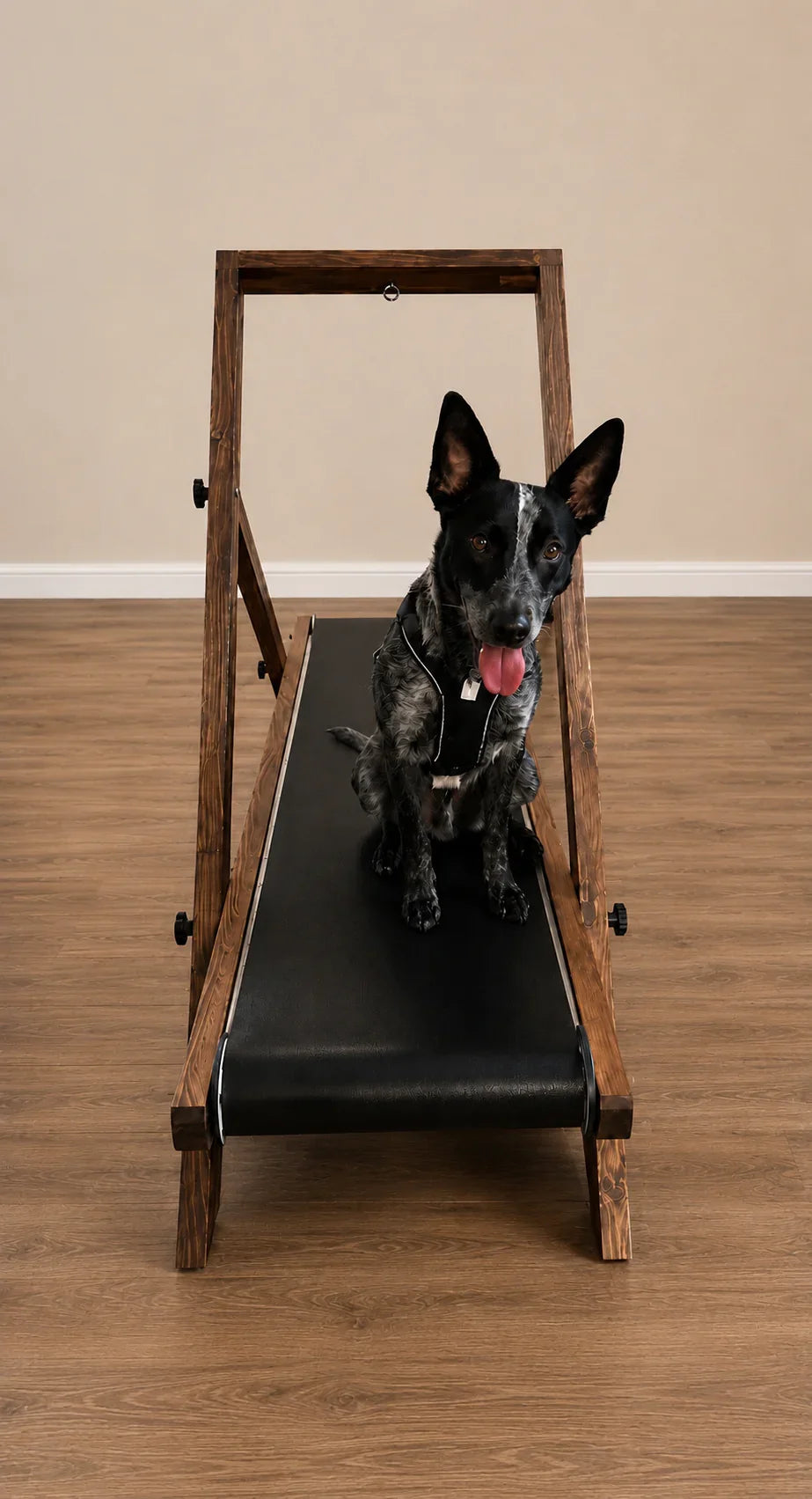 Medium Treadmill