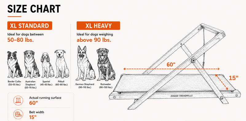 Product dimensions diagram