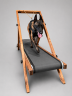 Extra Large Treadmill