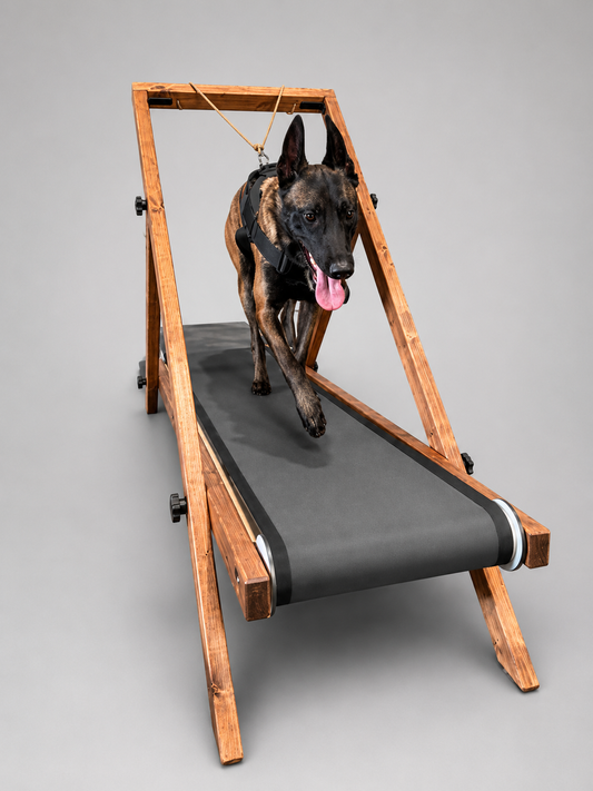 Extra Large Treadmill