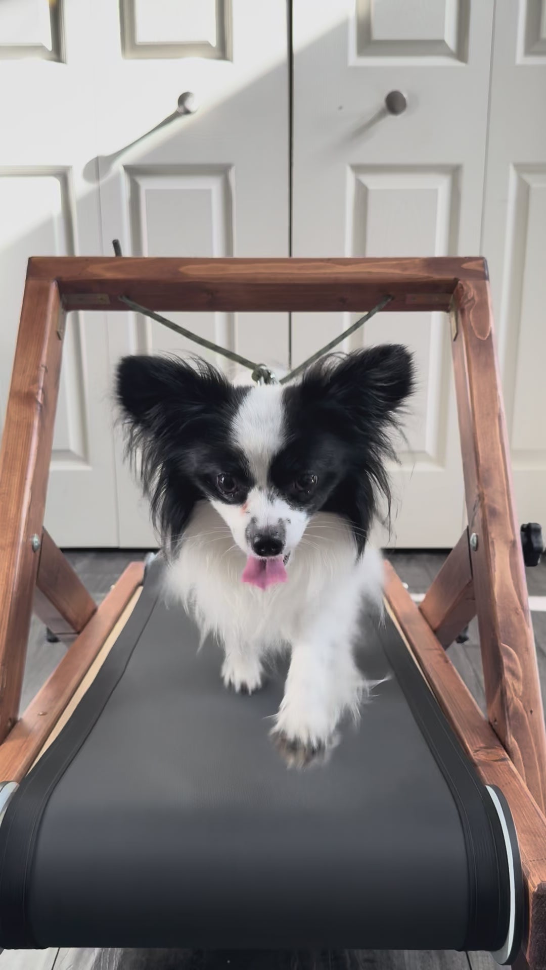 Extra Small Treadmill
