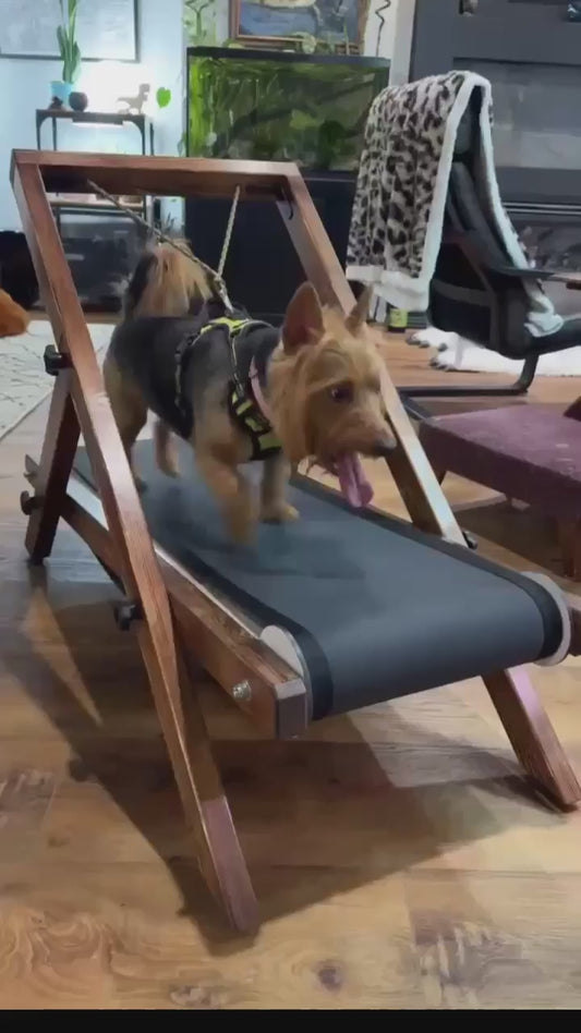 Small Treadmill
