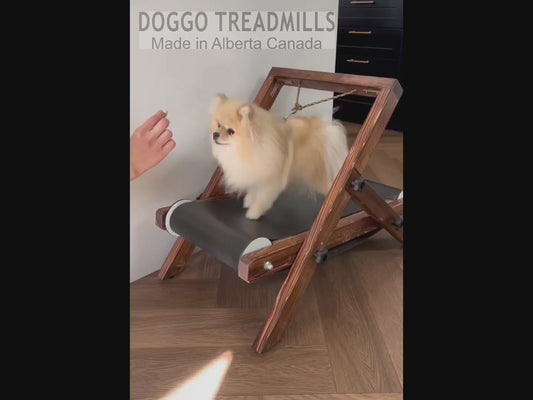 Extra Small Treadmill