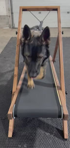 Extra Large Treadmill